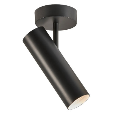 Aplique de Tecto MIB6
